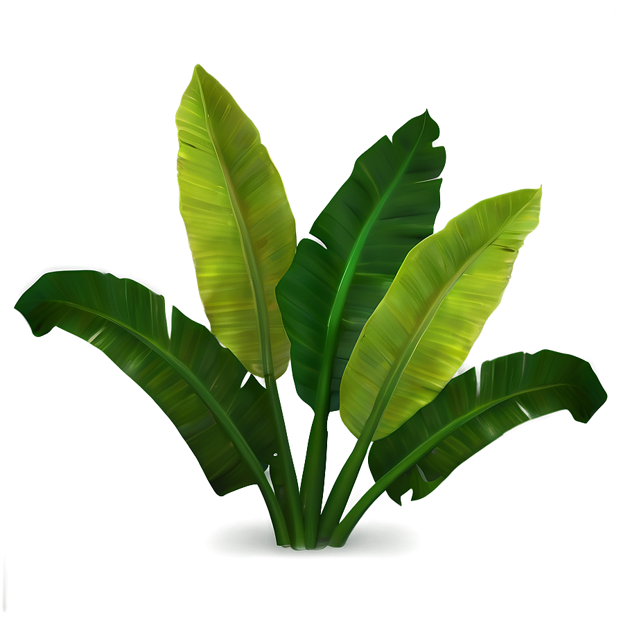 Banana Leaf Environment Png 06232024