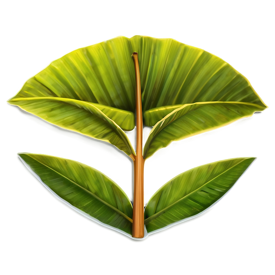 Banana Leaf Icon Png 95