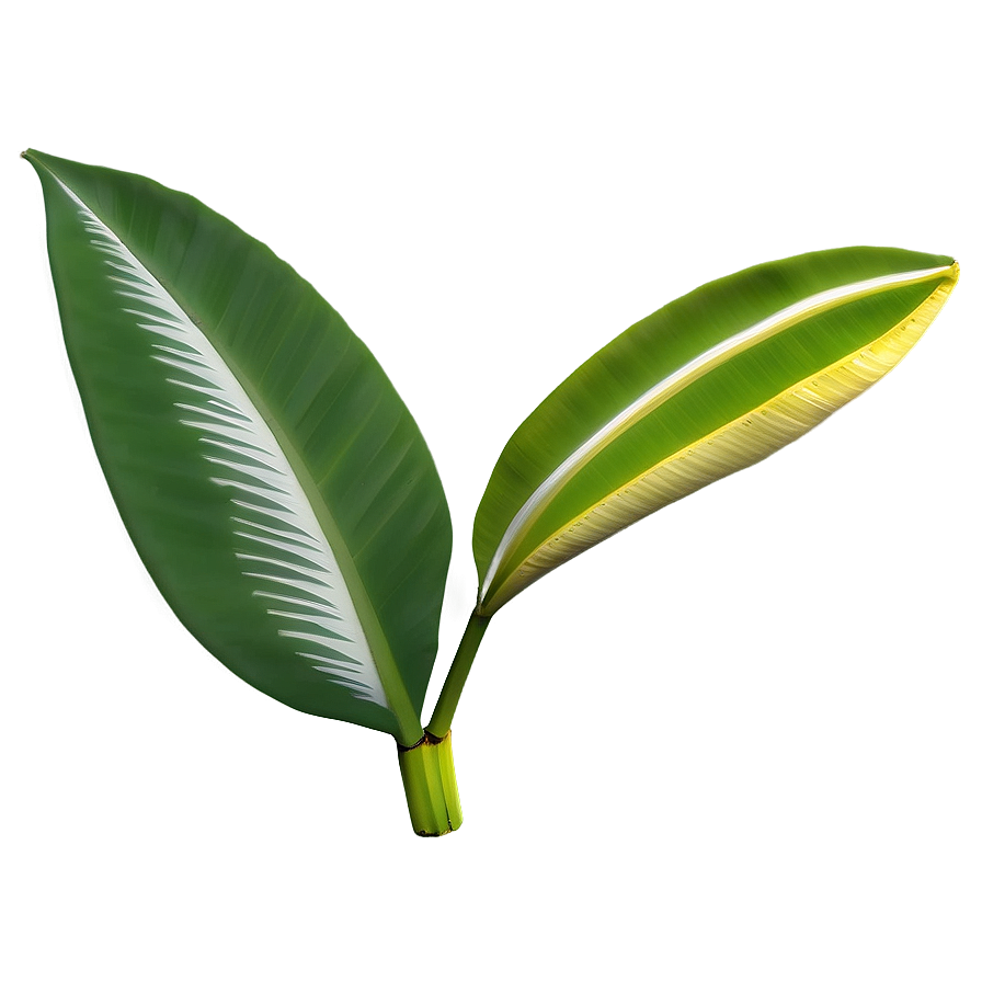 Banana Leaf Icon Png Kxc