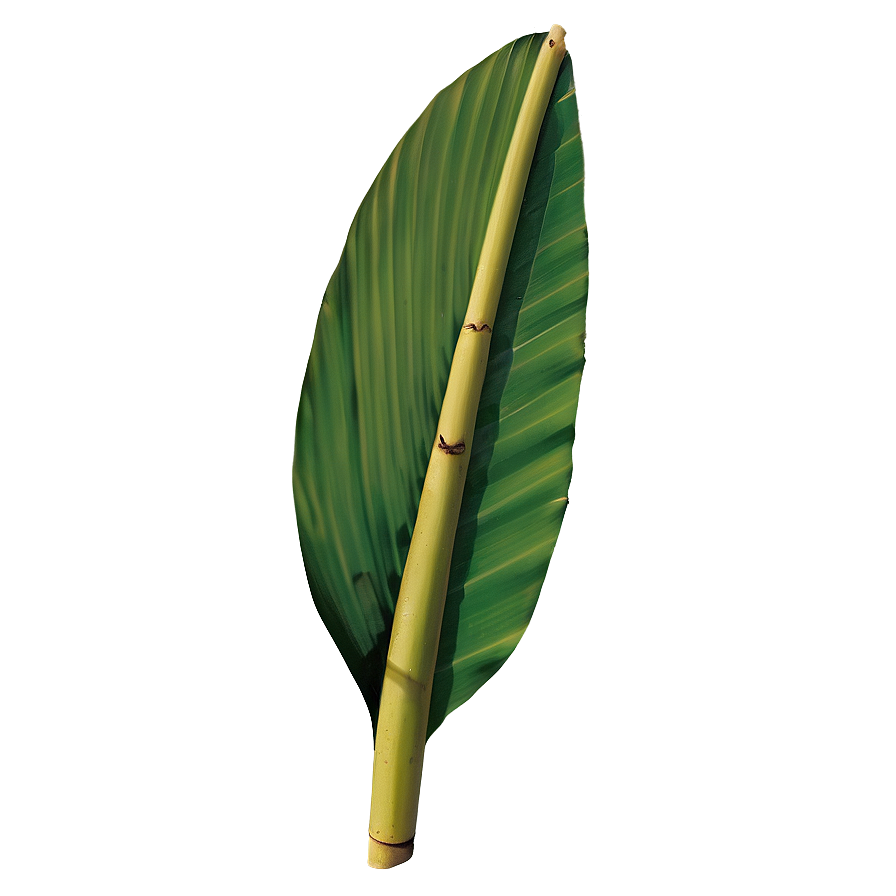 Banana Leaf Natural Png Mqa