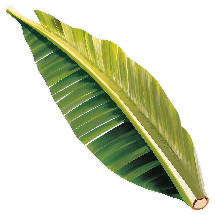 Banana Leaf Organic Png 06232024