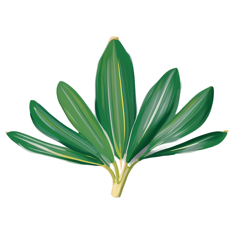 Banana Leaf Outline Png Cgt