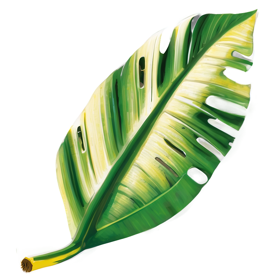 Banana Tropical Leaf Png 06122024