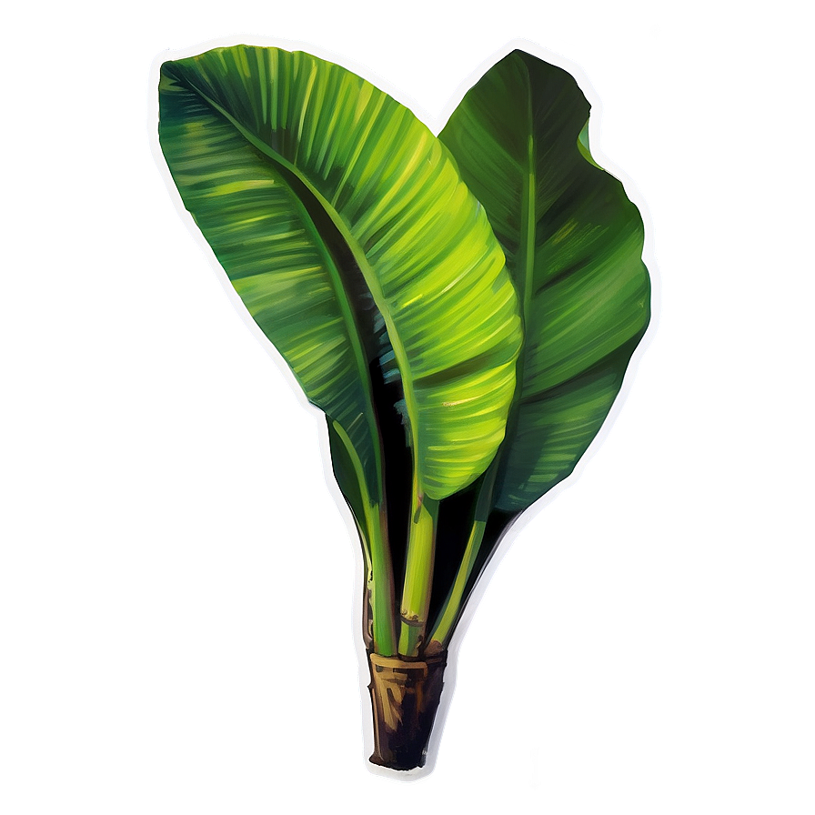 Banana Tropical Leaf Png Dst