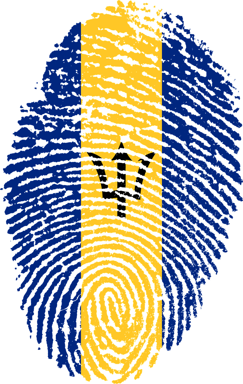 Barbados Fingerprint Flag Art