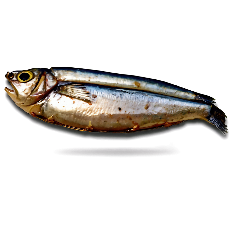 Barbecue Sardines Png Nbe5