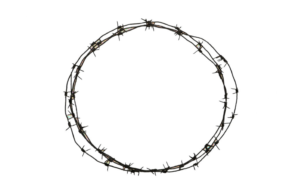 Barbed Wire Loop Security Barrier PNG image with a transparent background, free high-resolution download