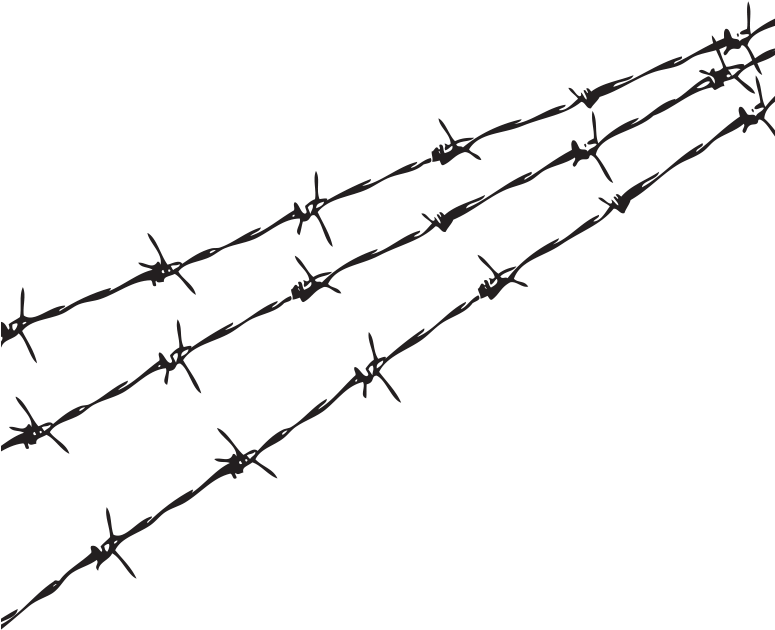 Barbed Wire Png - Transparent Barbwire PNG image with a transparent background, free high-resolution download