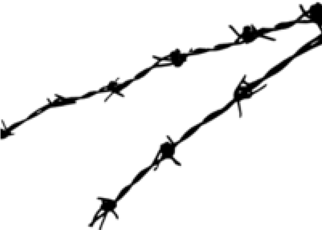 Barbwire Png Background Image - Barbwire Png PNG image with a transparent background, free high-resolution download