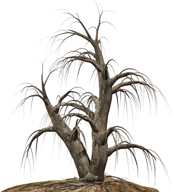 Dead Tree Clipart Desert Png - Portable Network Graphics, Transparent Png PNG with transparent background