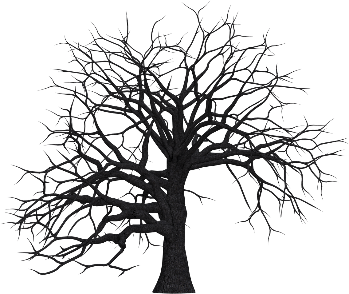 Dead Trees Clip Art, HD Png Download PNG with transparent background