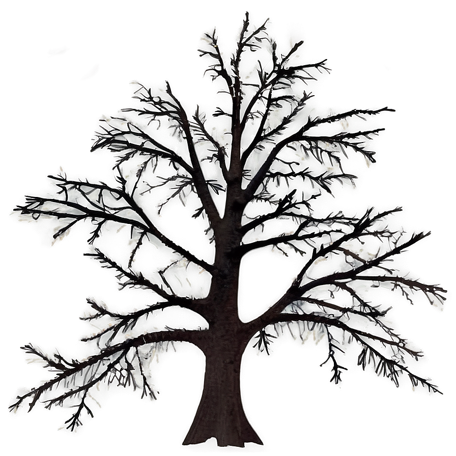 Bare Tree At Night Png Dkr