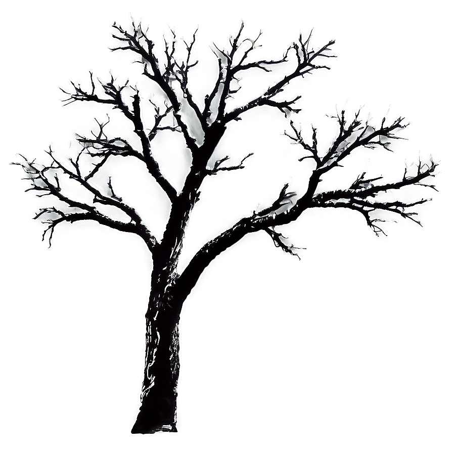 Bare Tree Branches Png Ehc24