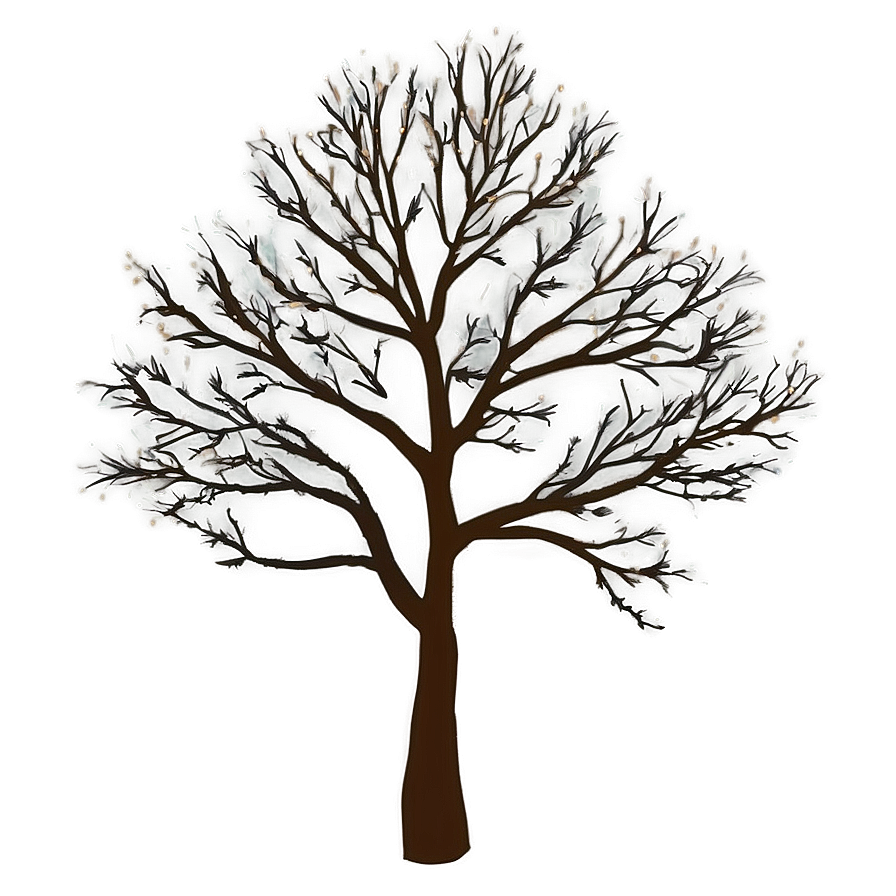 Bare Tree Branches Png Rvd21