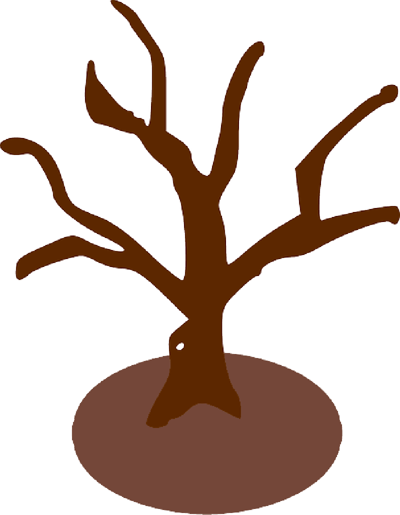 Bare Tree Branches Silhouette PNG with transparent background