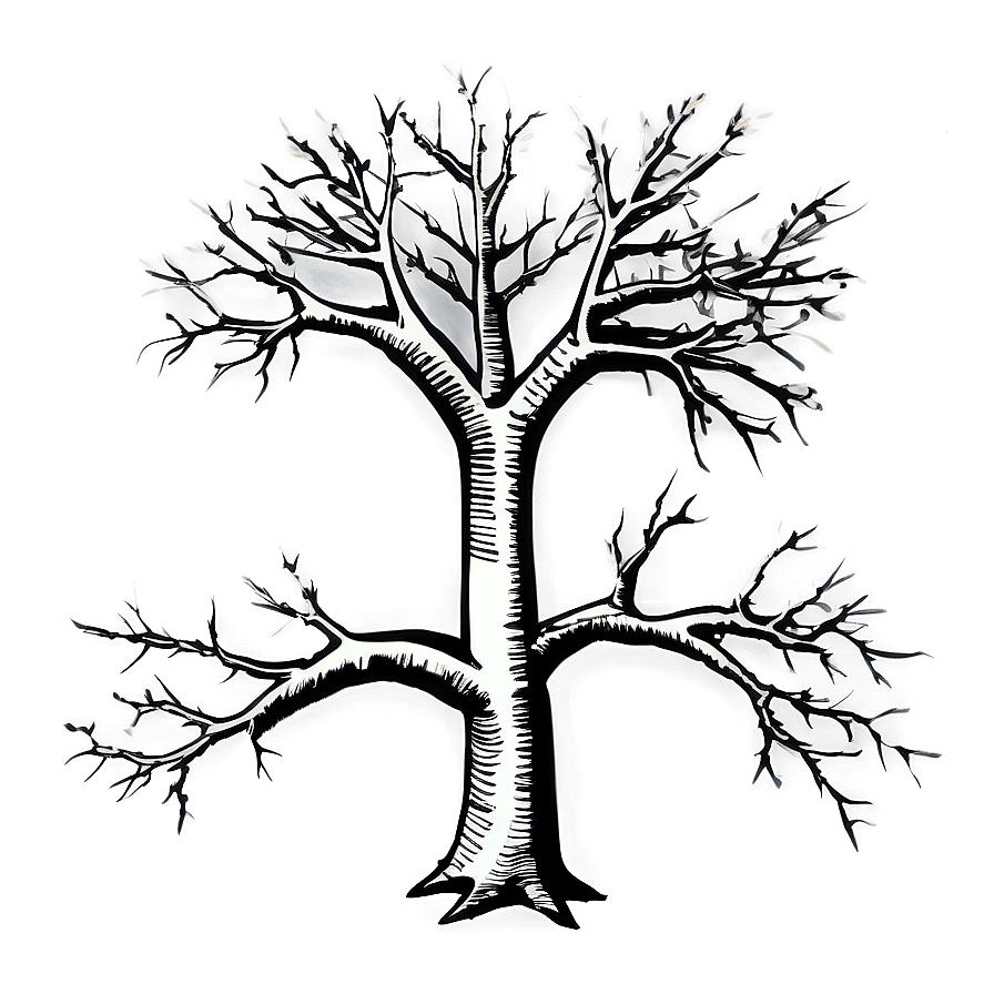 Bare Tree Sketch Png Djt70