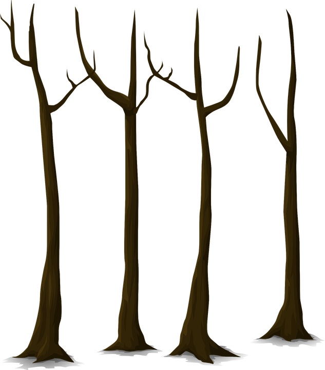 Bare Tree Trunks Illustration