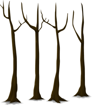 Bare Trees Against Dark Background