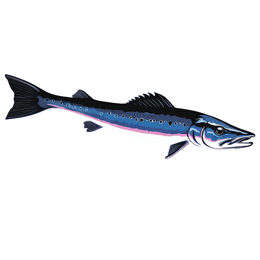 Barracuda Vector Art Png Mpi65