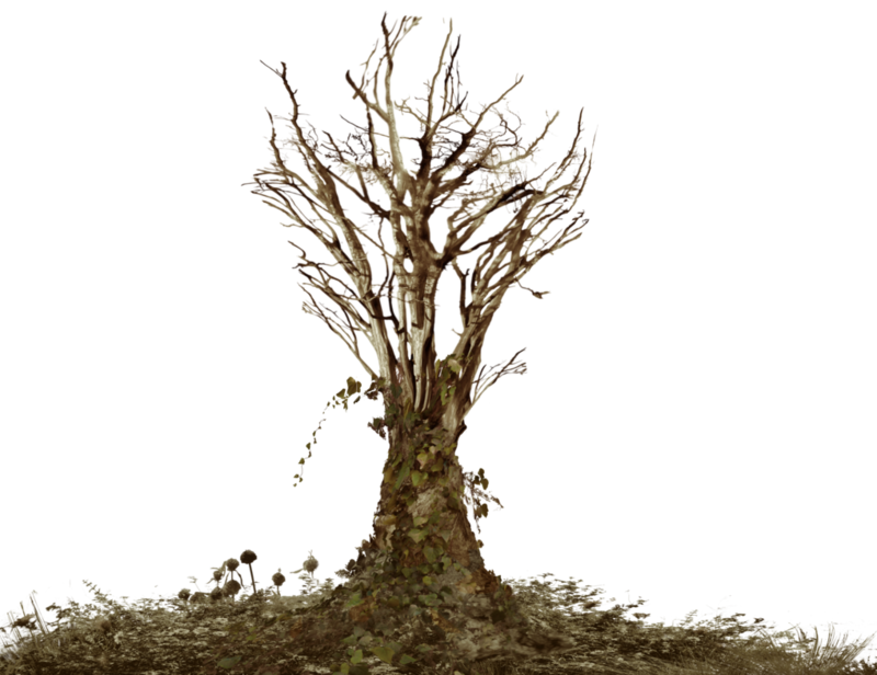 Dead Tree With Ivy Png Landsc - Dead Tree Png Transparent, Png Download PNG with transparent background