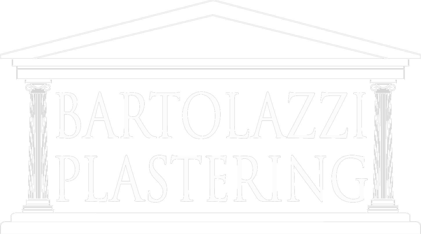 Bartolazzi Plastering - Anita Blake Tome 11, HD Png Download PNG with transparent background