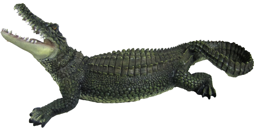 Crocodile Png, Transparent Png PNG with transparent background
