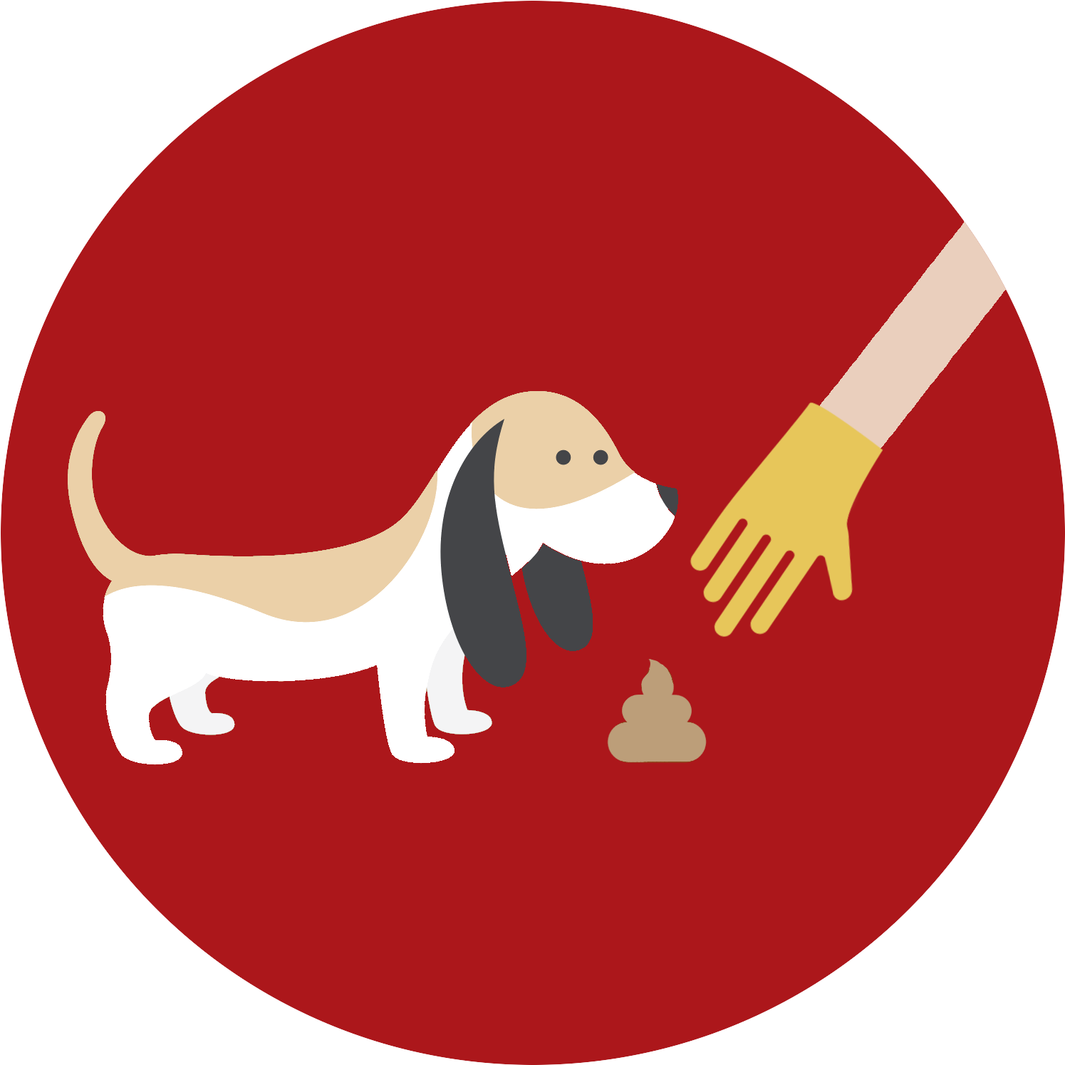 Basset Hound Potty Training Illustration