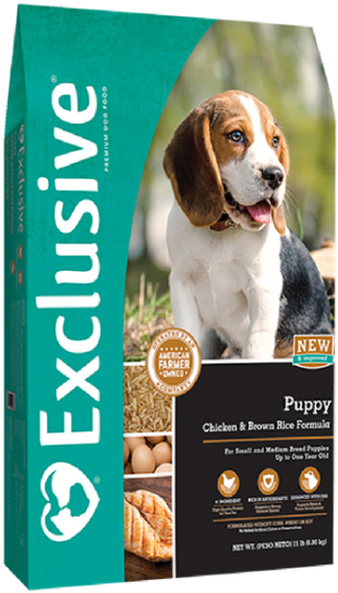 Basset Hound Puppy Dog Food Advertisement