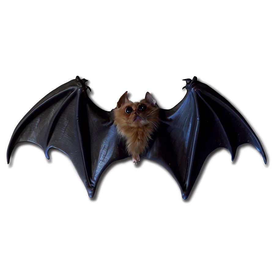 Bat Wings Png Brf56