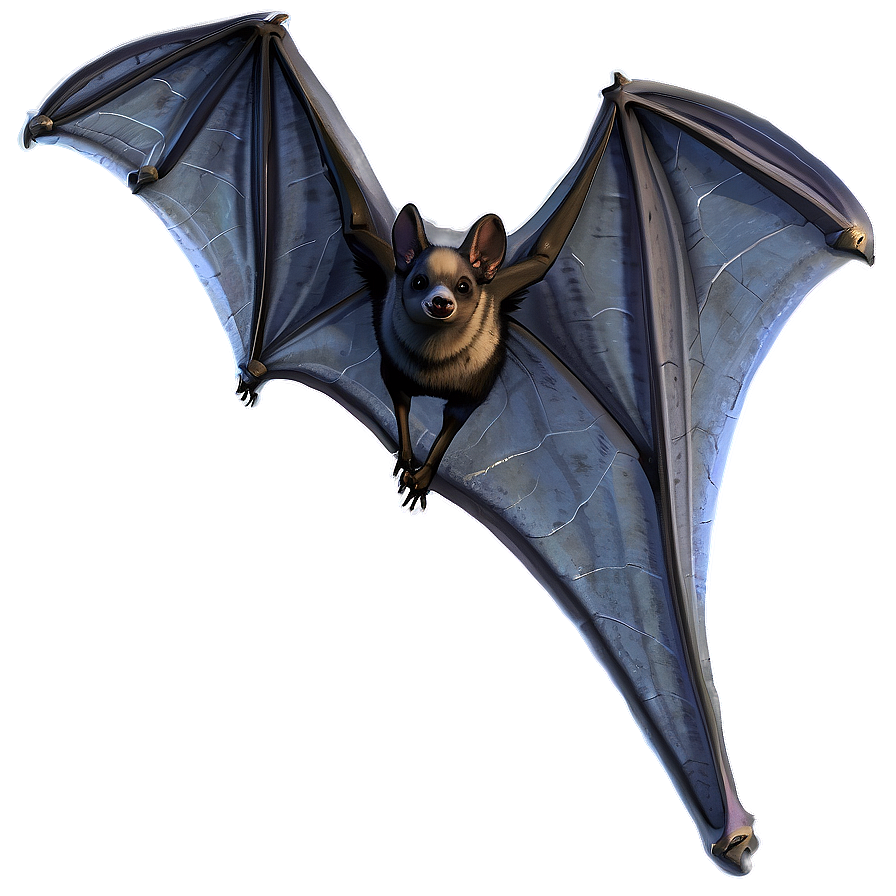 Bats And Cobweb Png 05232024