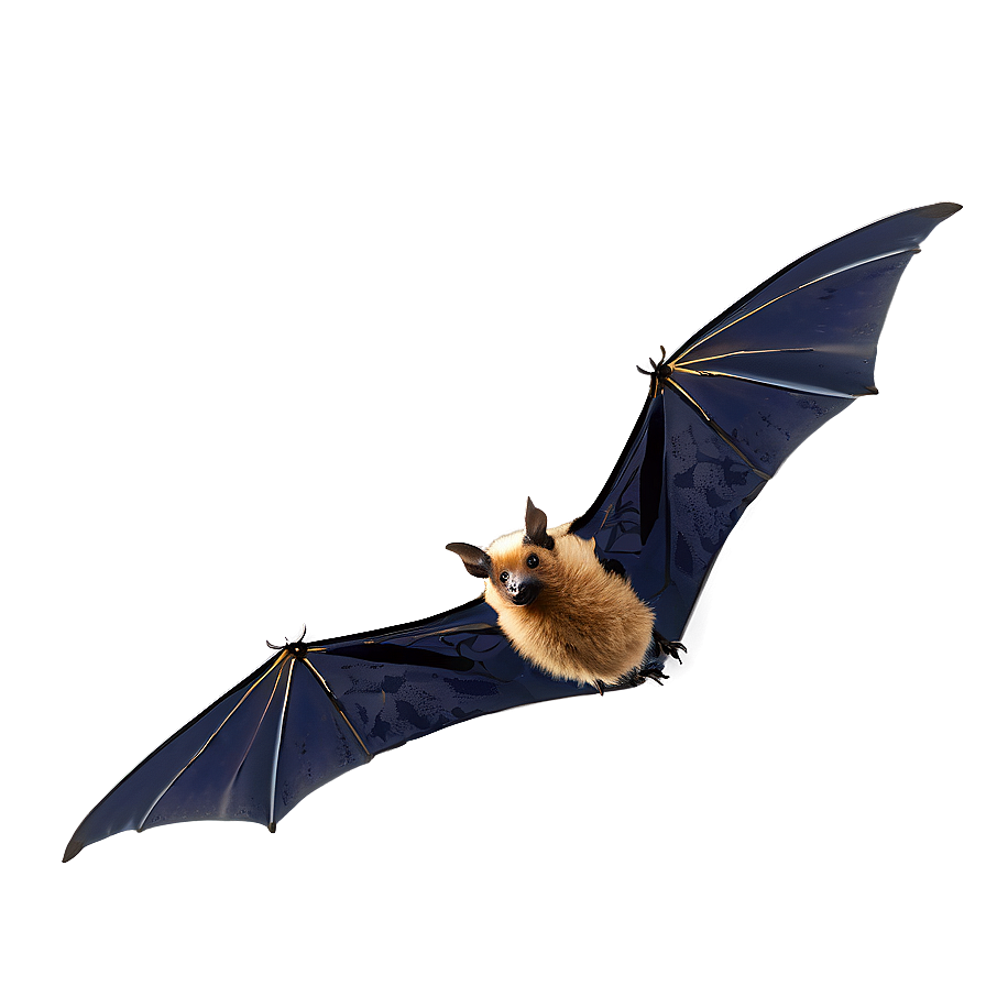 Bats Flying In Dusk Png 10