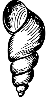 Beach_ Bliss_ Black_and_ White PNG with transparent background