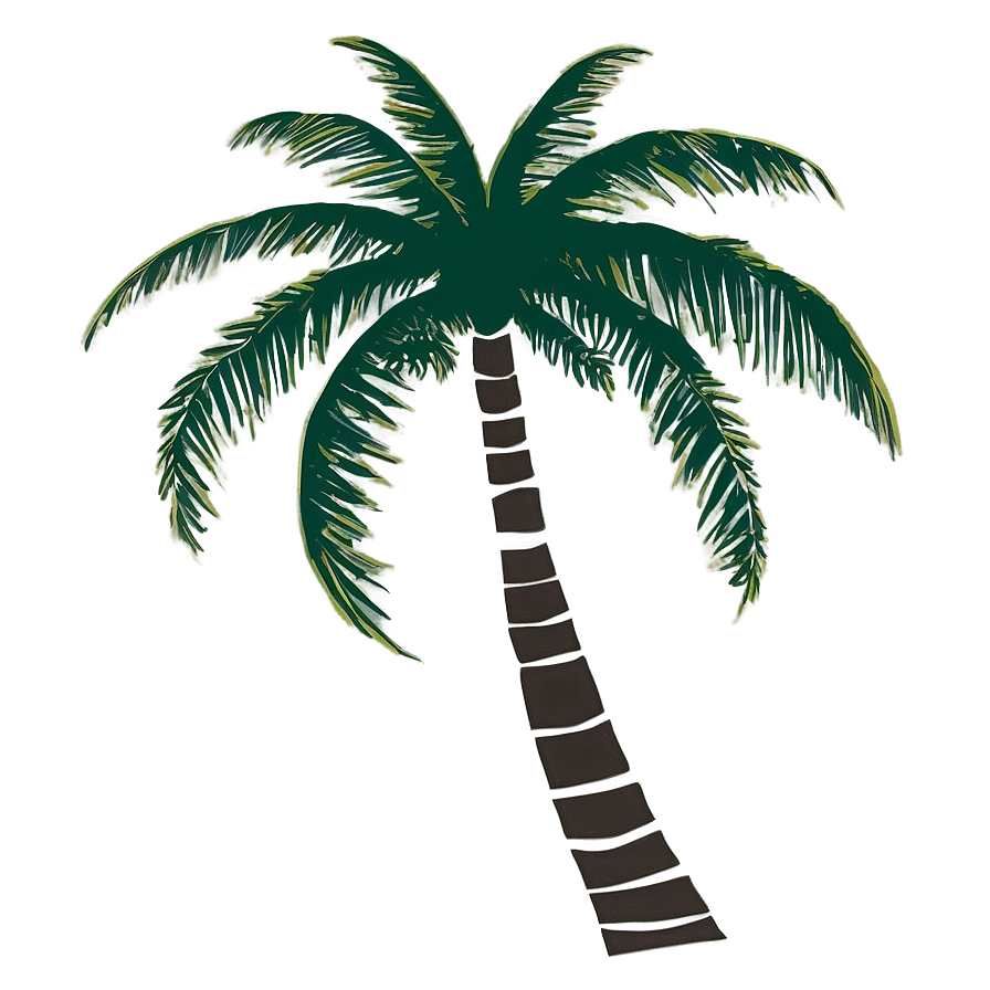 Beach Palm Silhouette Png Fut