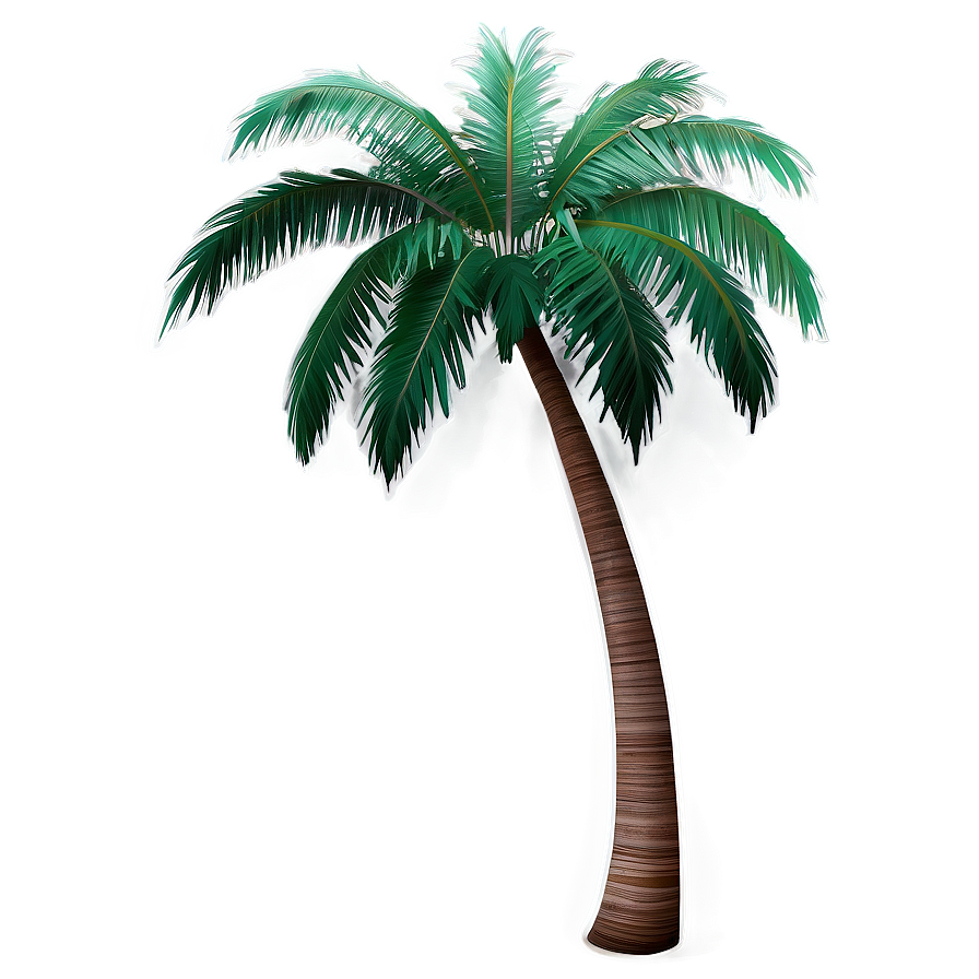 Beach Palm Tree Png Jta1