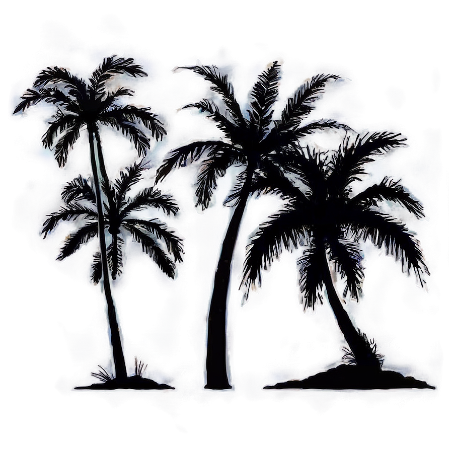 Beach Palms Silhouette Png 59