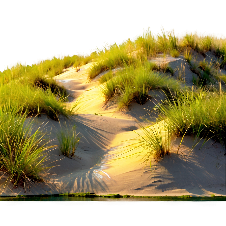 Beach Sand Dunes Png 37