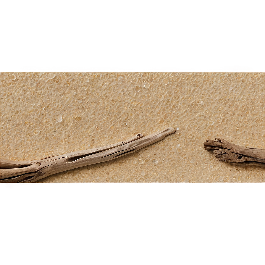 Beach Sand With Driftwood Png 06292024