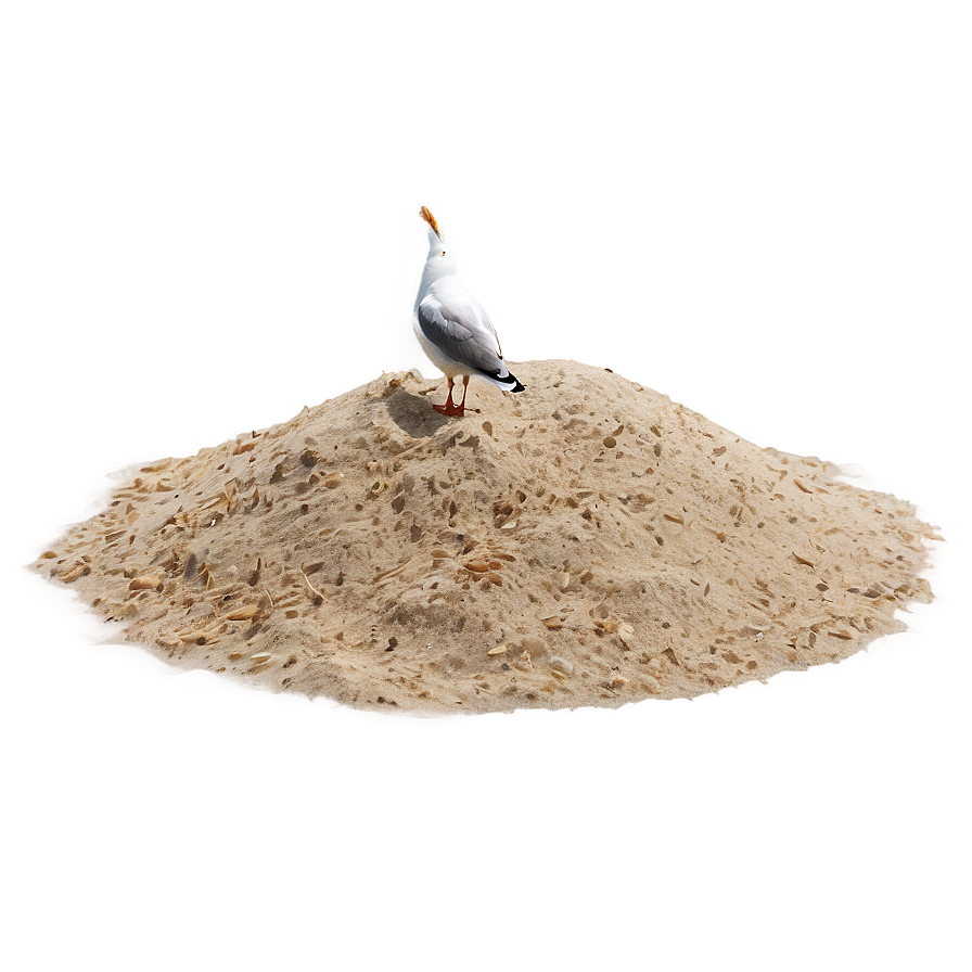 Beach Sand With Seagull Png 06292024