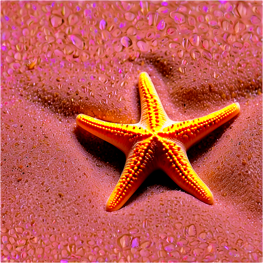 Beach Sand With Starfish Png Vps72