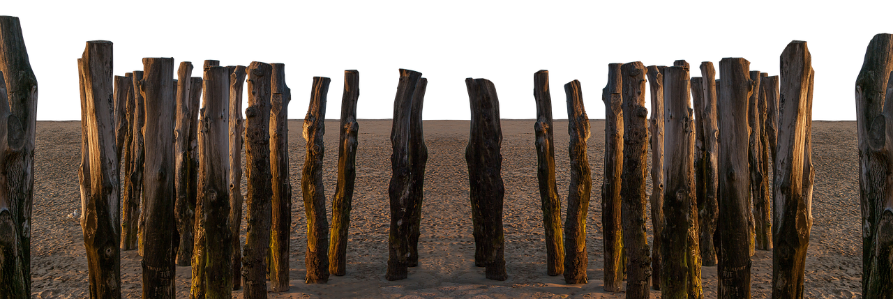 Beach Wooden Groynesat Dusk PNG with transparent background