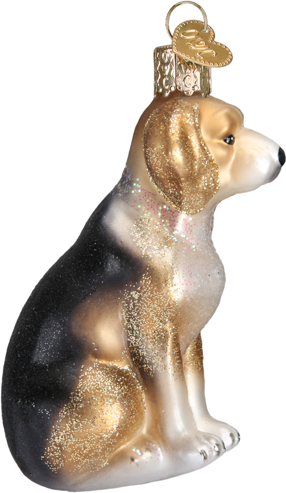 Beagle, HD Png Download PNG with transparent background