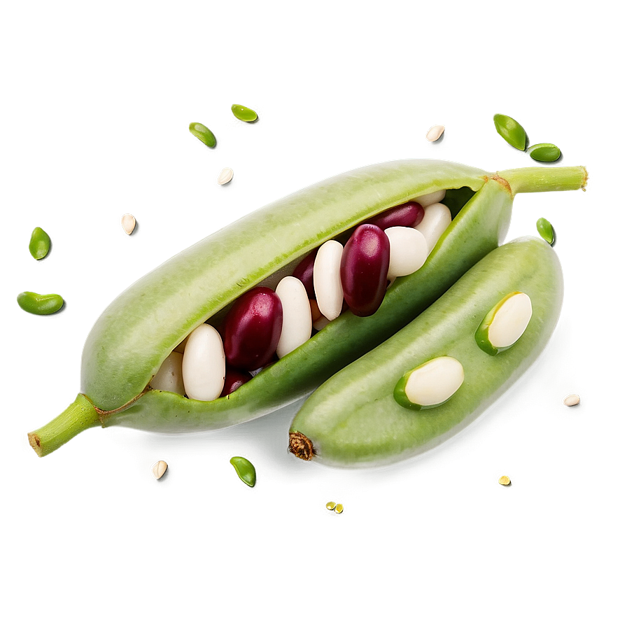 Beans Graphic Png 87