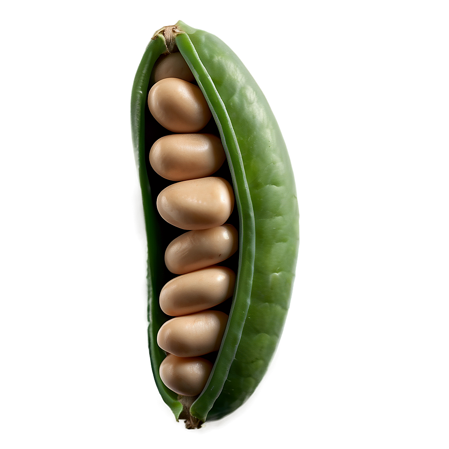 Beans Pod Png 05242024