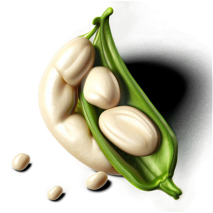 Beans Sketch Png Usl11