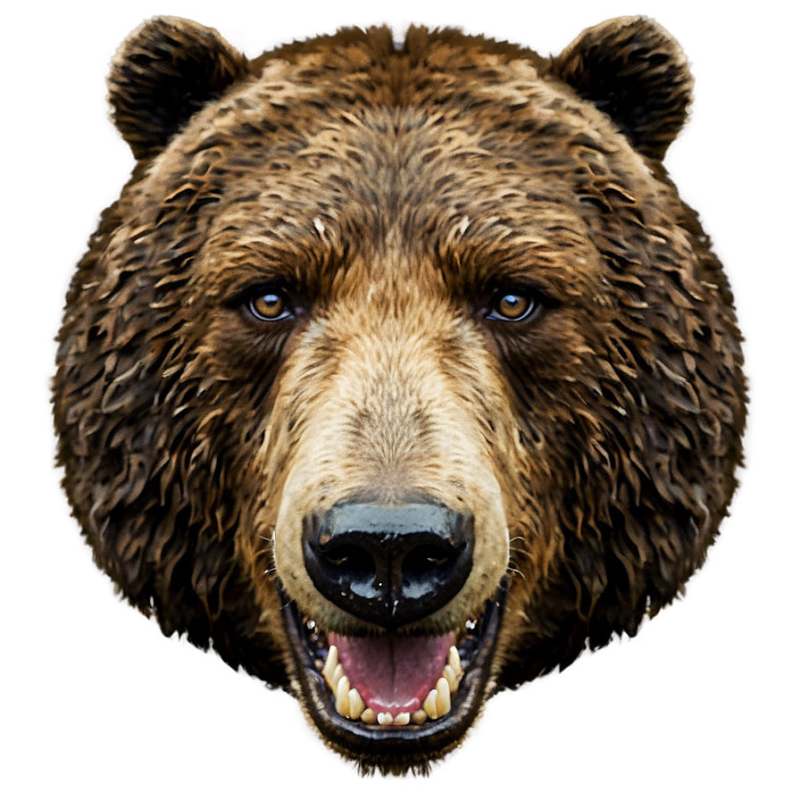 Bear Face Expression Png Nbw