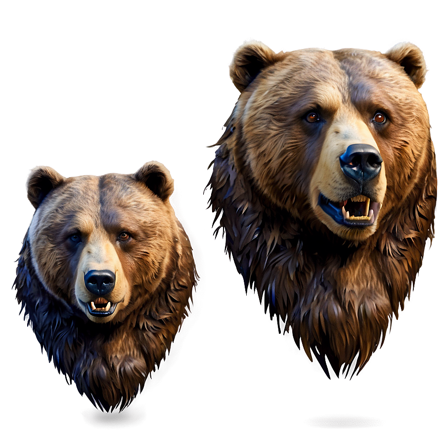 Bear Face Expression Png Yub