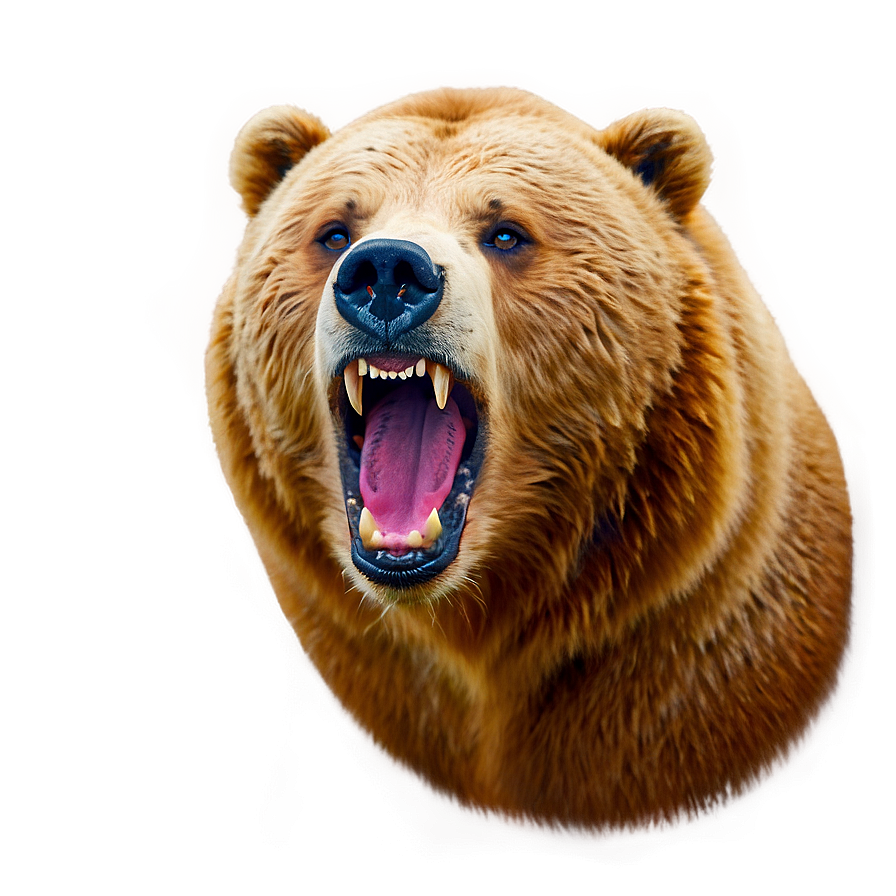 Bear Face Flat Design Png Ivg73