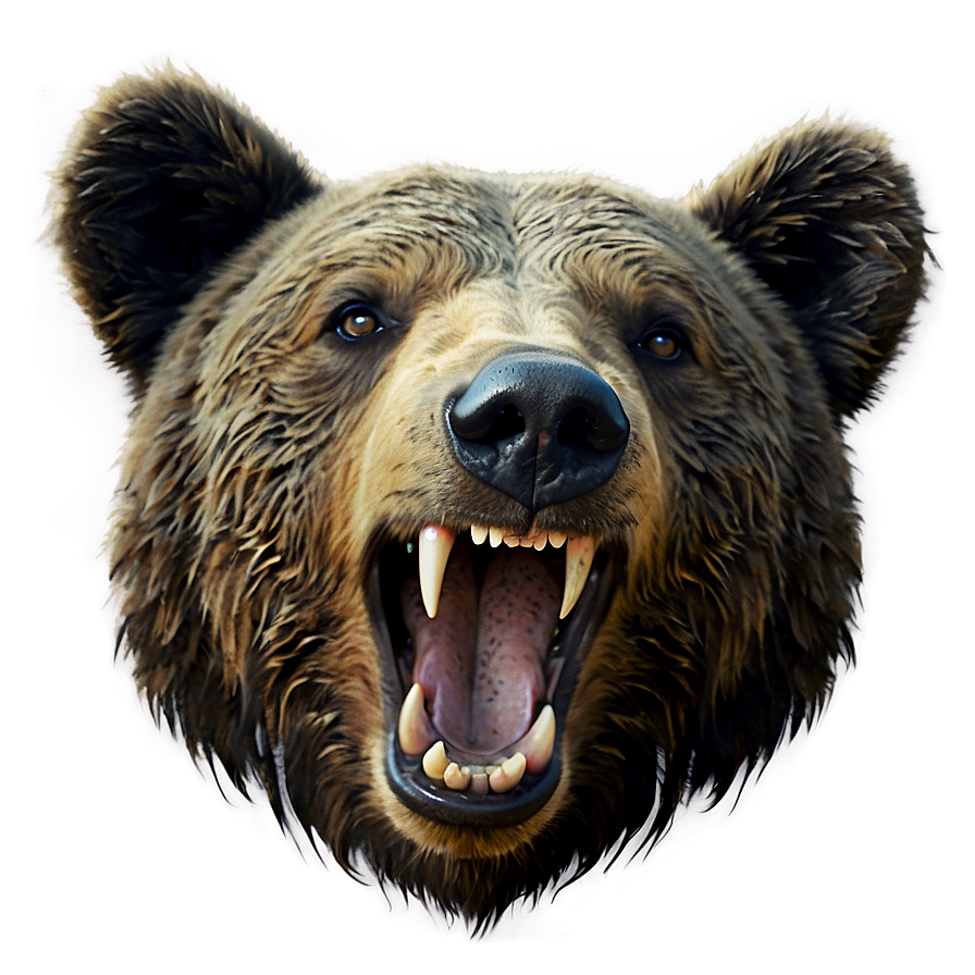 Bear Face Symbol Png 67