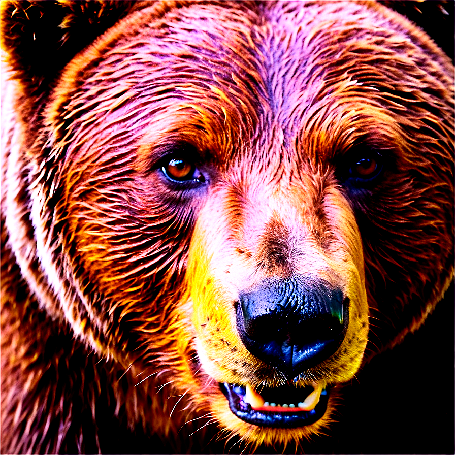 Bear Face With Text Png 06292024