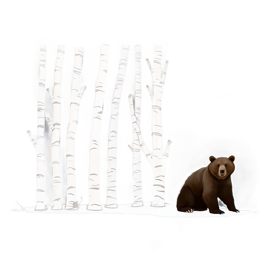 Bear Outline Png 18